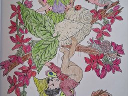 whatsapp bild 2025-09-08 um 12.45.46_549a5ad5